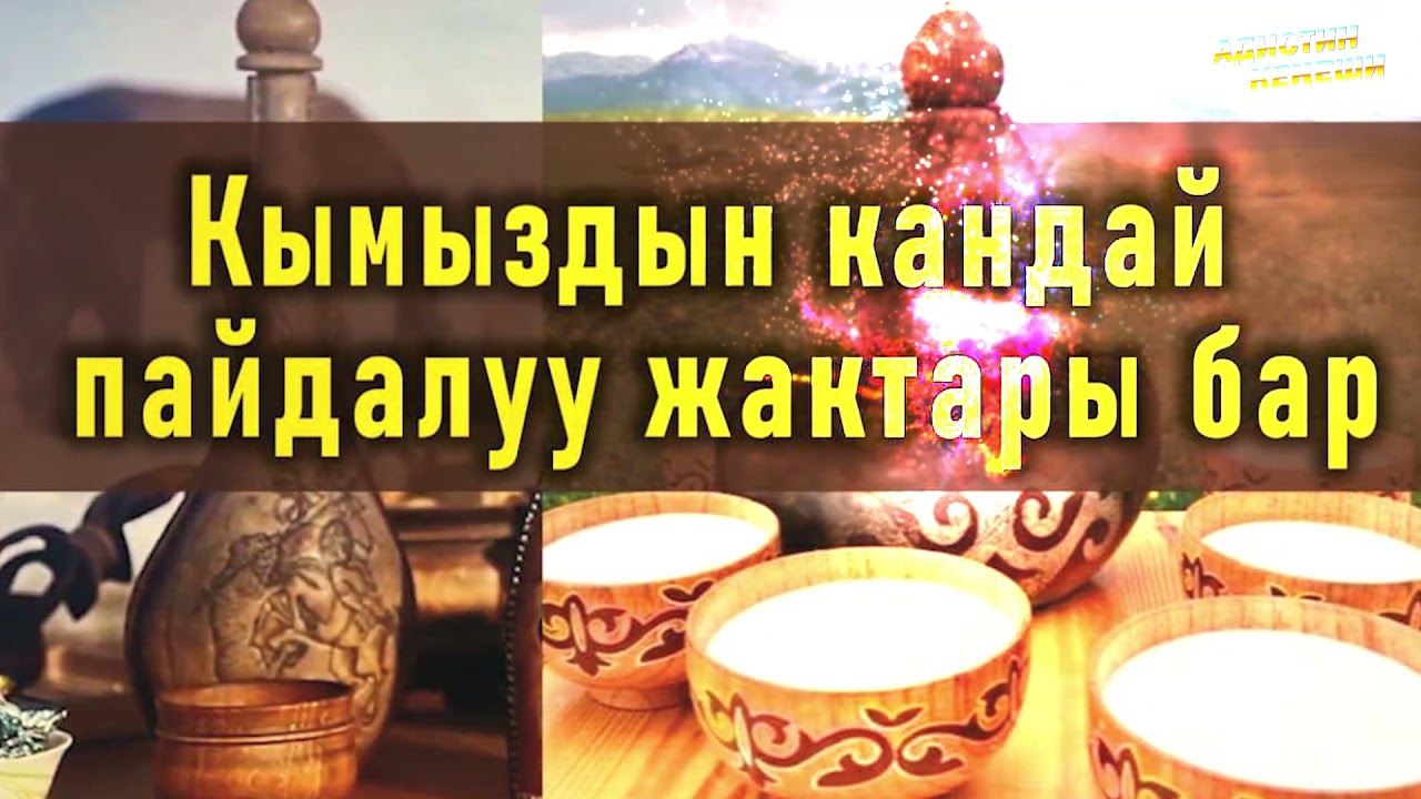 Кымыздын ден соолукка пайдасы