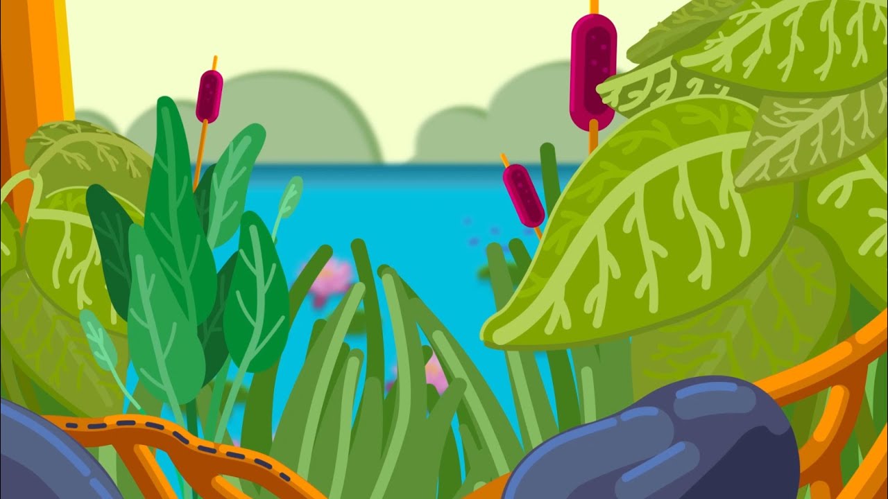How Water Striders  Walk on Water