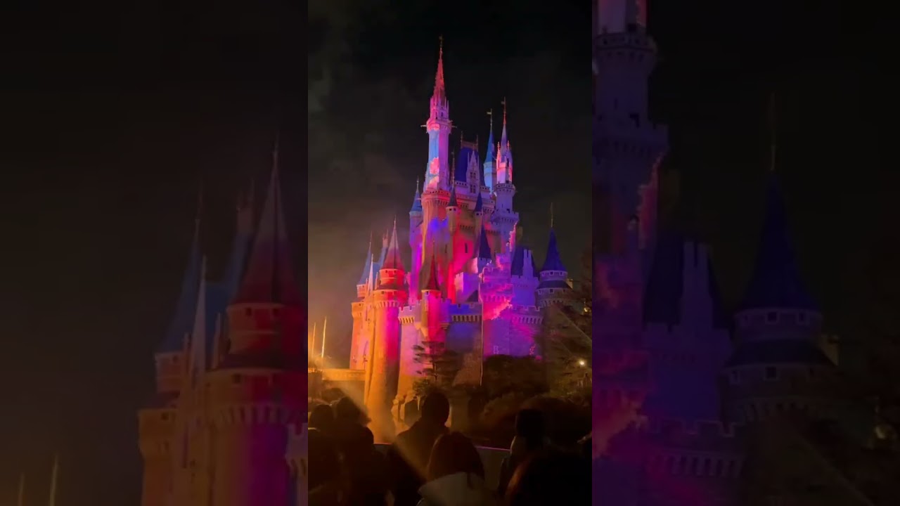 Tokyo Disneyland Last show