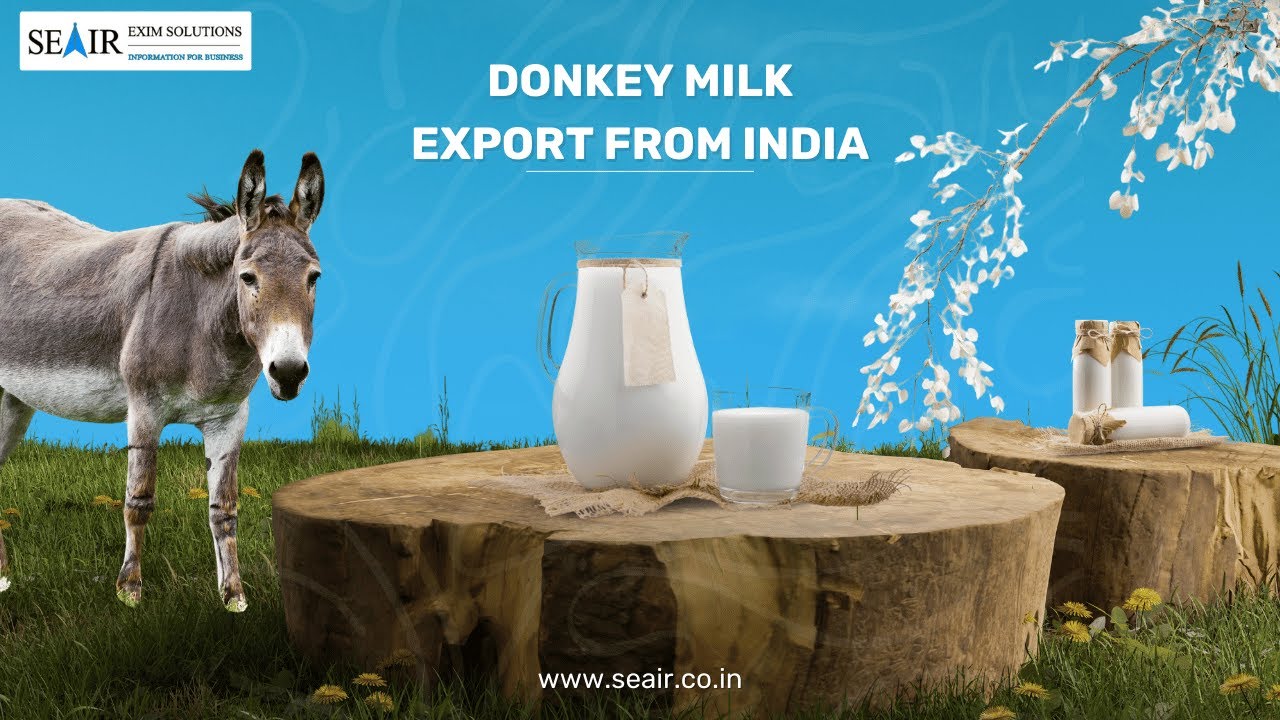 Donkey Milk Export from India: Growing Market & Trends