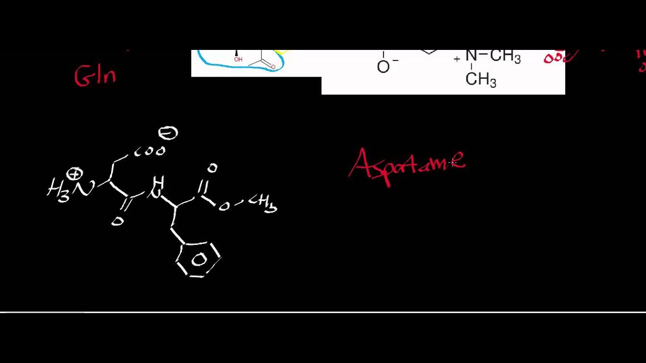 Biochemistry | Catabolism of Asparagine & Aspartate to Oxaloacetate