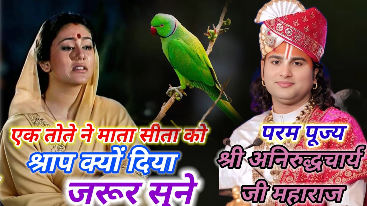 एक तोते ने माता सीता को श्राप क्यों दिया? | रामायण की चौंकाने वाली कथा |#श्रीअनिरुद्धचार्य जी महाराज
