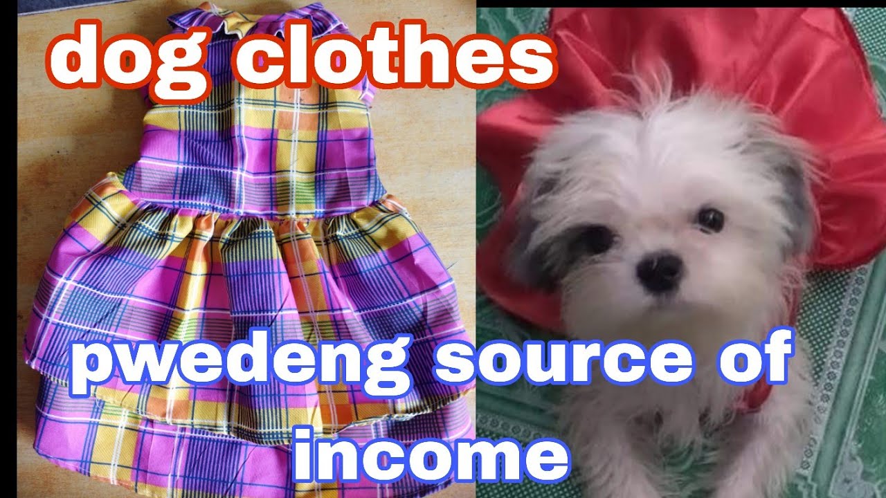 HOW TO MAKE DOG CLOTHES,  WATCH AND LEARN,   YOU CAN EARN MONEY FOR MAKING DOG CLOTHES.