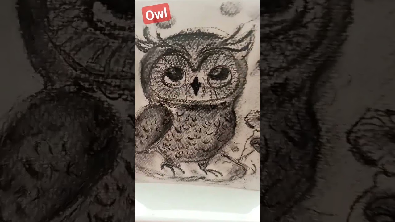 Owl #art #autumn #drawing #charcoal #owl #nature #coal