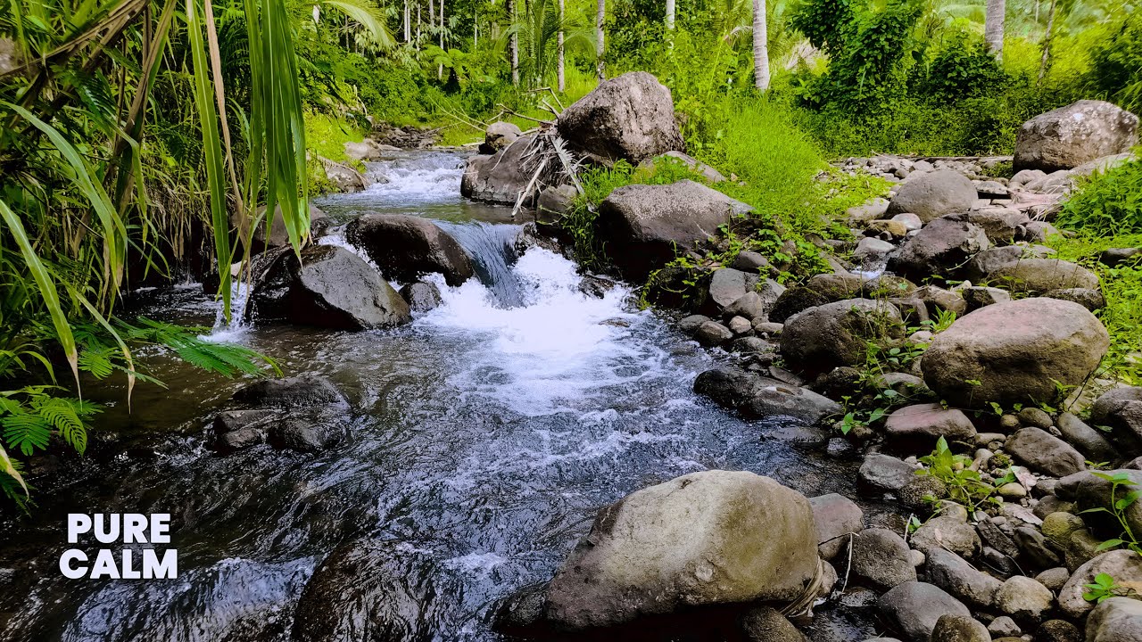 White Noise River Relaxation: Natural Water Babbling Brook Ambiance Forest Ruver