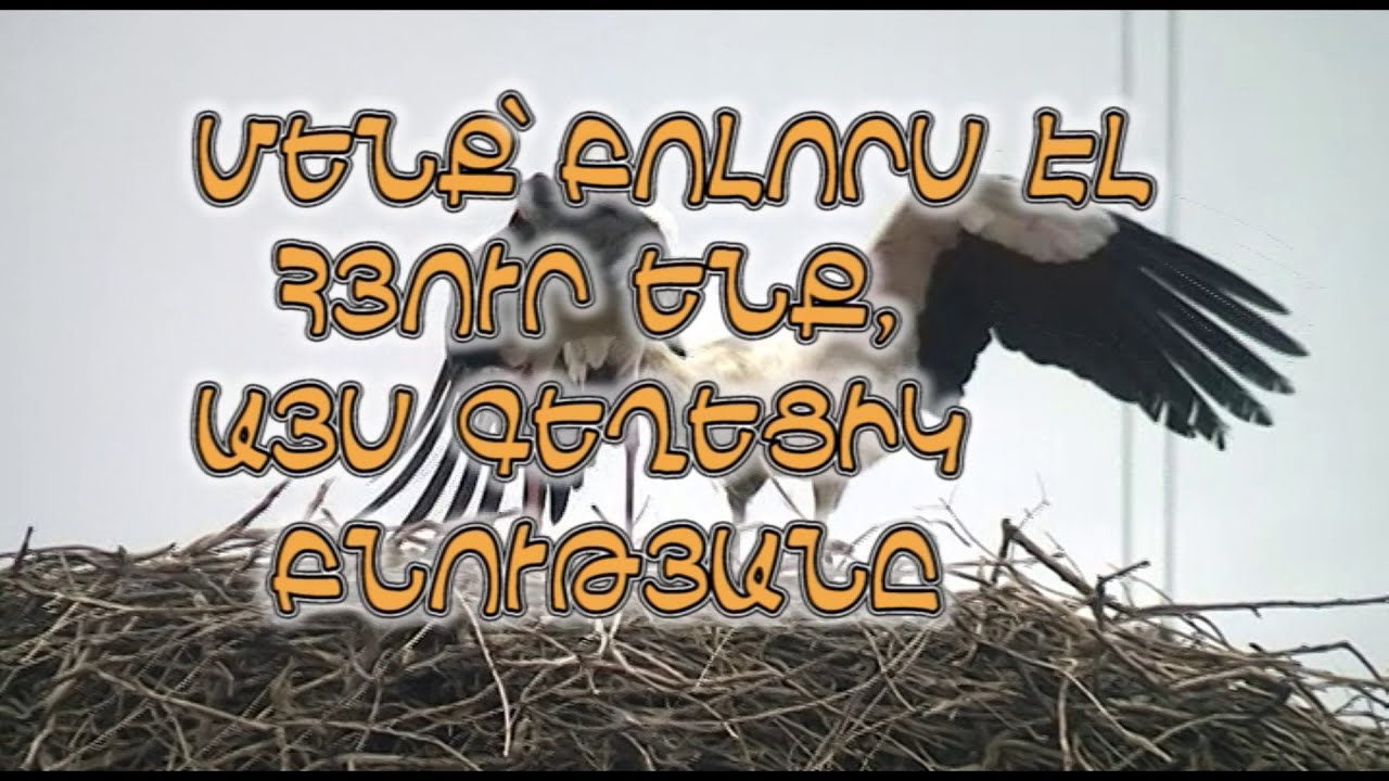Մենք՛ բոլորս էլ հյուր ենք, այս գեղեցիկ բնությանը․   Ասքյար Սադոյան