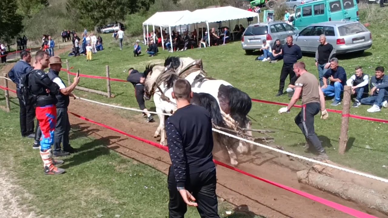 Štaraparijada Karaula Vajtine i Dženine  Šarge uspješno do cilja stigli
