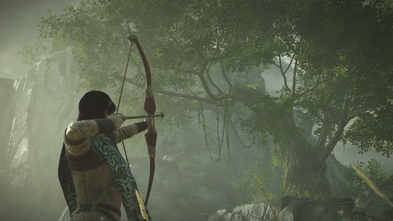 Shadow of the Colossus Slowthrough 09: With Disorientation and Trust