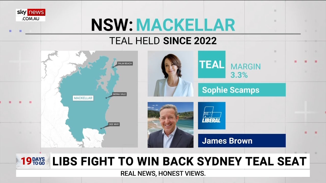 Analysis: Electorate of Mackellar set to be closely contested at upcoming federal election