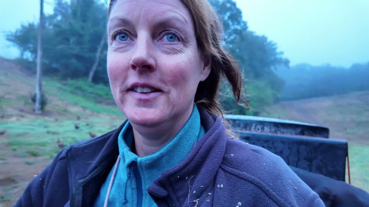 Gamekeeping in August, wild boar, naked photoshoot, Grey partridge.