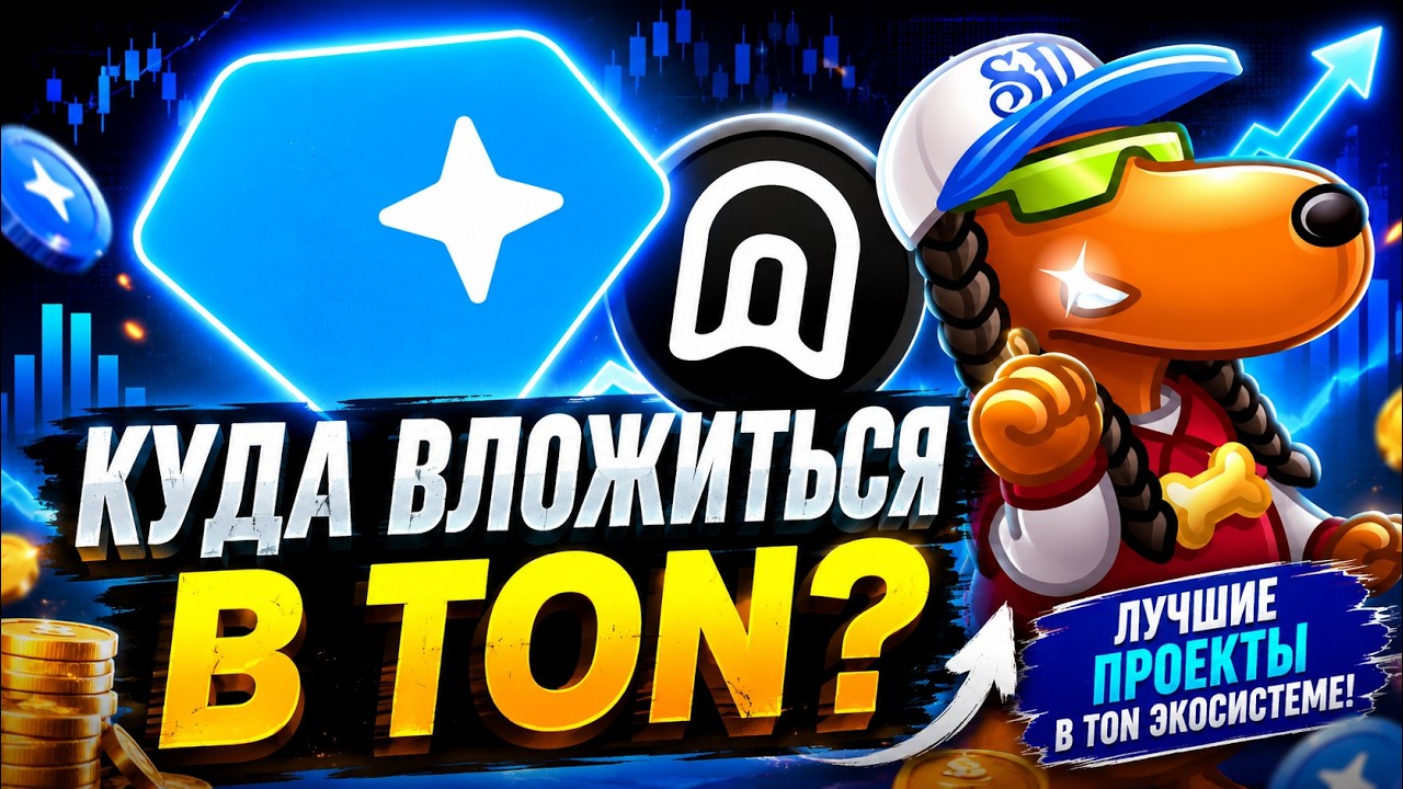 КУДА СЕЙЧАС ВЛОЖИТЬСЯ в ЭКОСИСТЕМЕ TON и TELEGRAM?