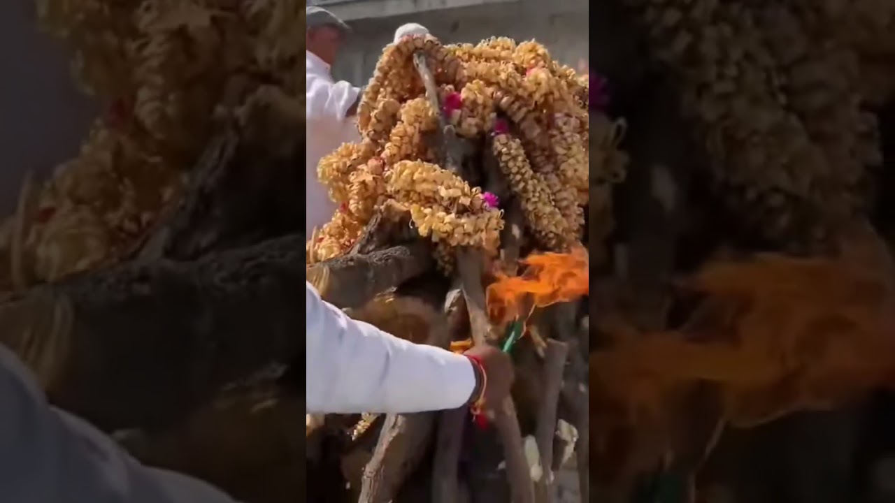 Bk 🙏Dadi Ratan Mohini Ji🙏 ko Shraddha Suman Arpan
