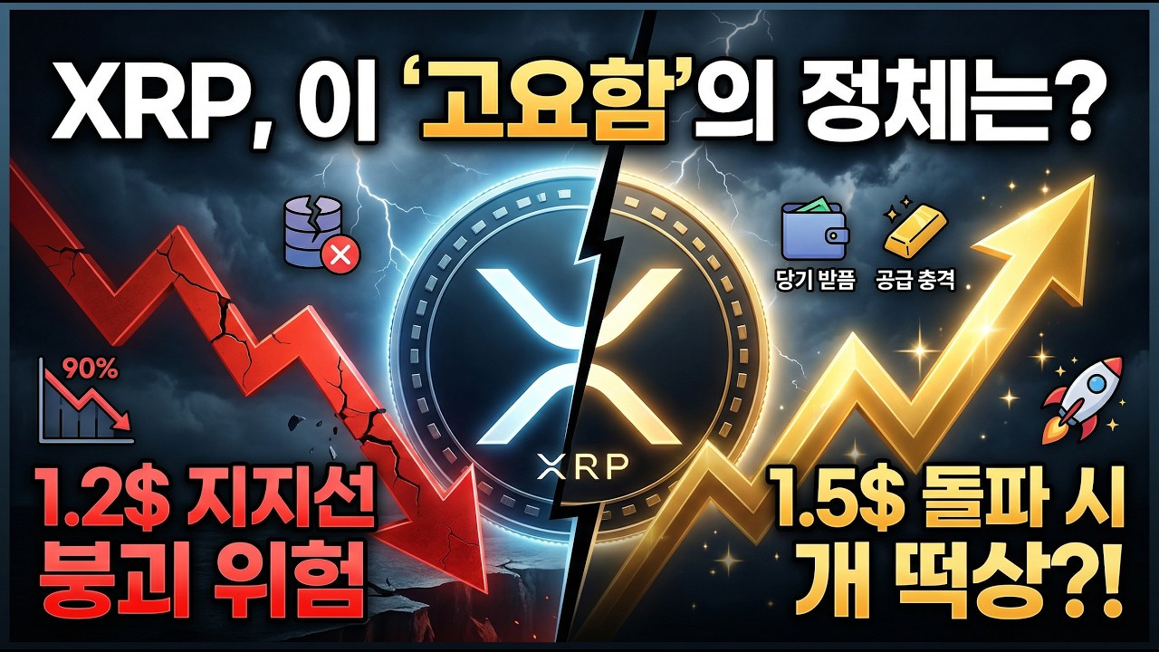 XRP 유동성 90% 증발이 악재일까? 호재일까? 사라져가는 리플의 공급부족 시나리오를 분석과 역대급 호재인 찰스슈왑 소식 #비트코인 #찰스슈왑 #XRP #리플