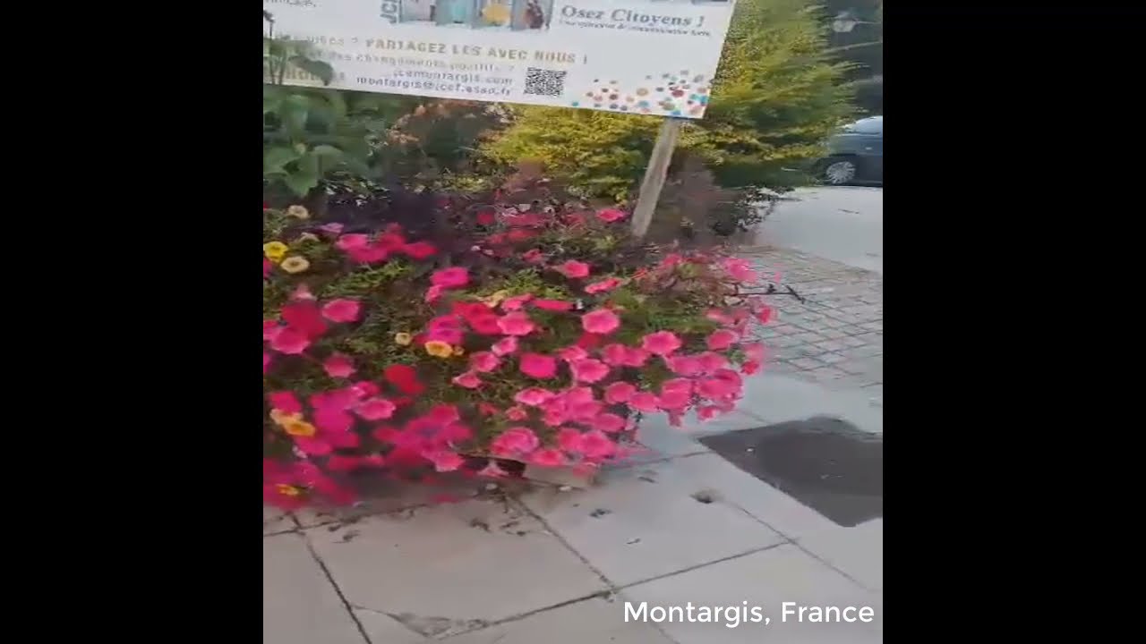 Montargis, France || Charming World View