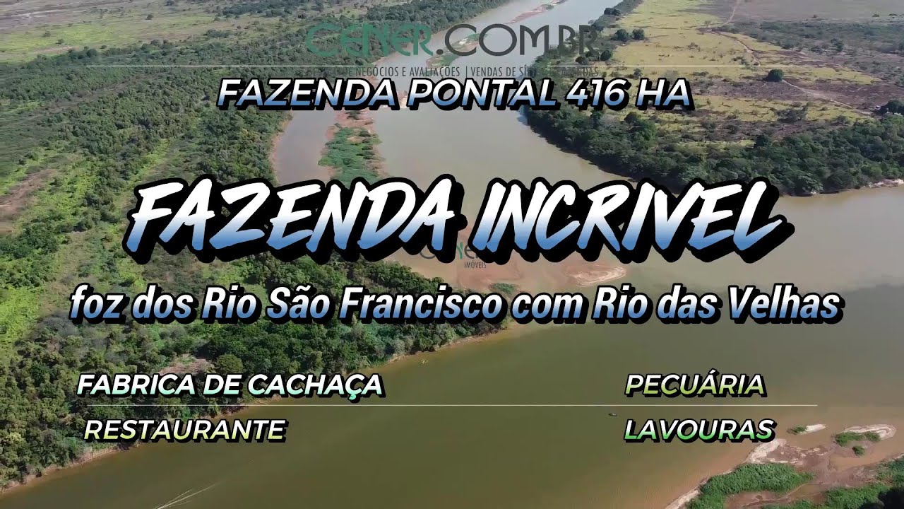 Cener Imóveis 2937 Incrível fazenda de 416 ha por 16 500 mil na foz dos rios S Francisco e Velhas