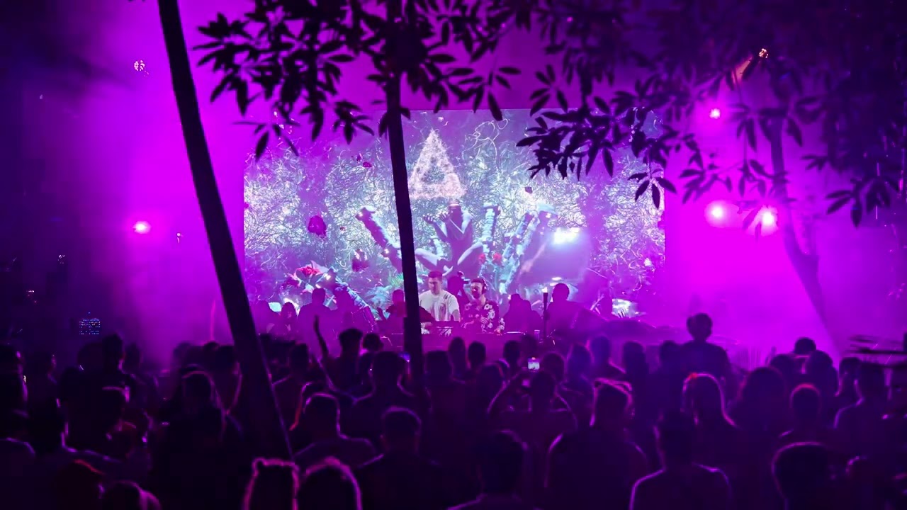 Tom & Collins live at Zamna Festival Tulum 2024