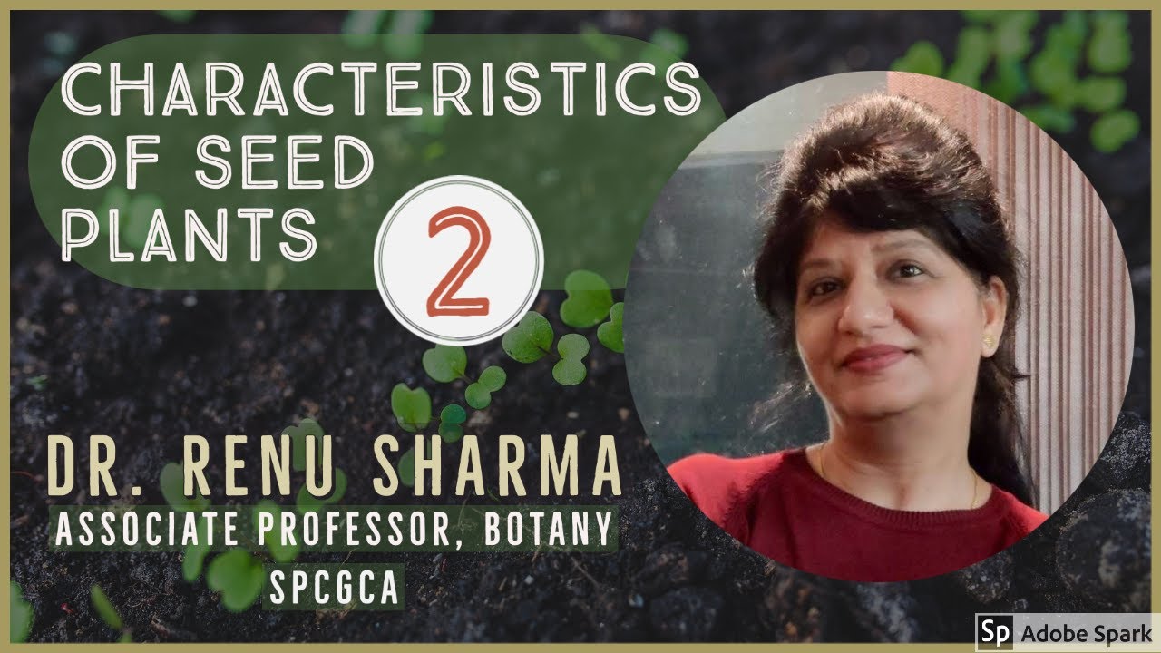 Characteristics of Seed Plants Part - 2 :: Dr. Renu Sharma