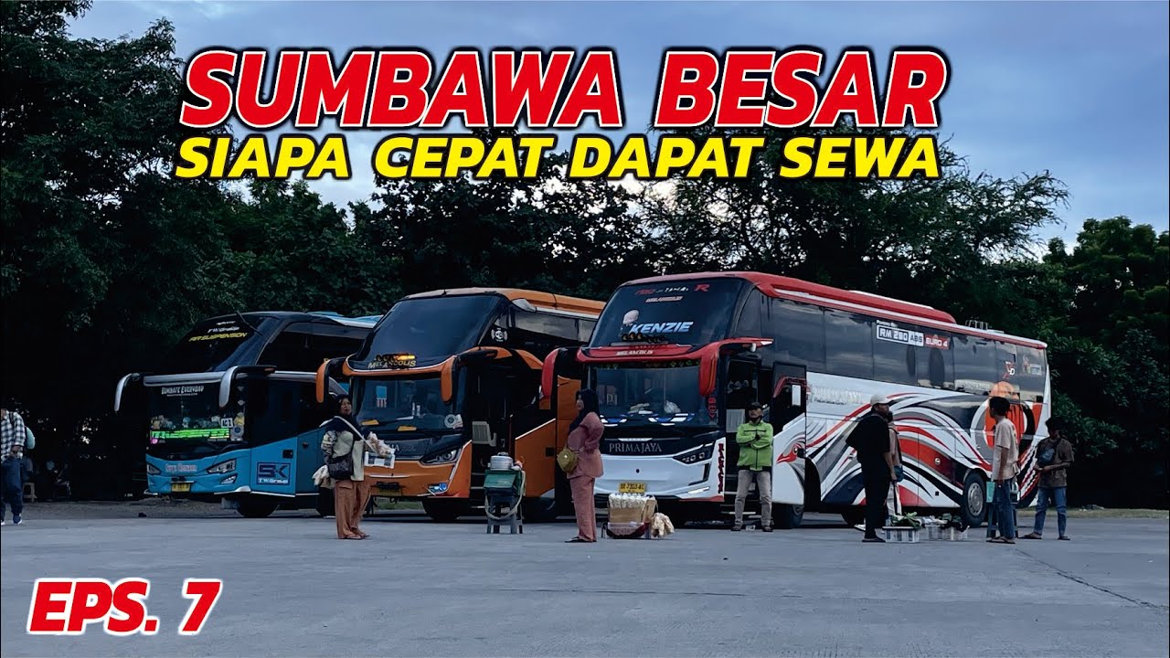 REBUTAN SEWA DI SUMBAWA (7)