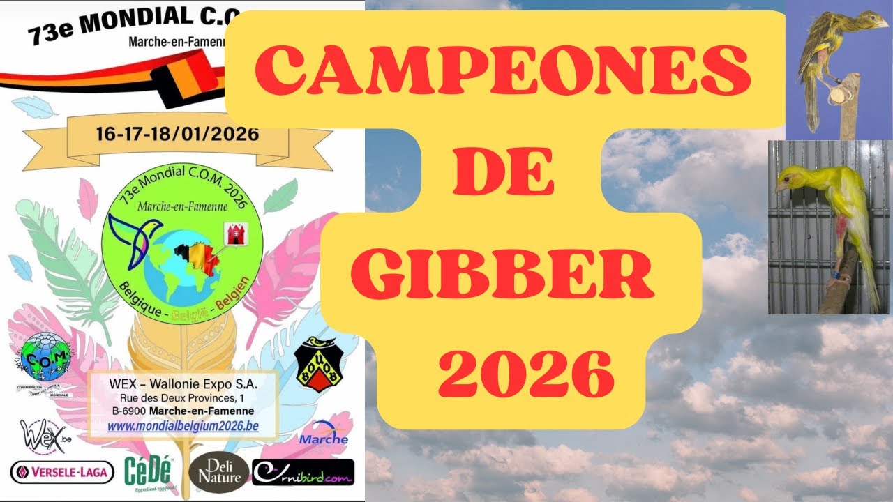 GIBBERS CAMPEONES DEL MUNDO