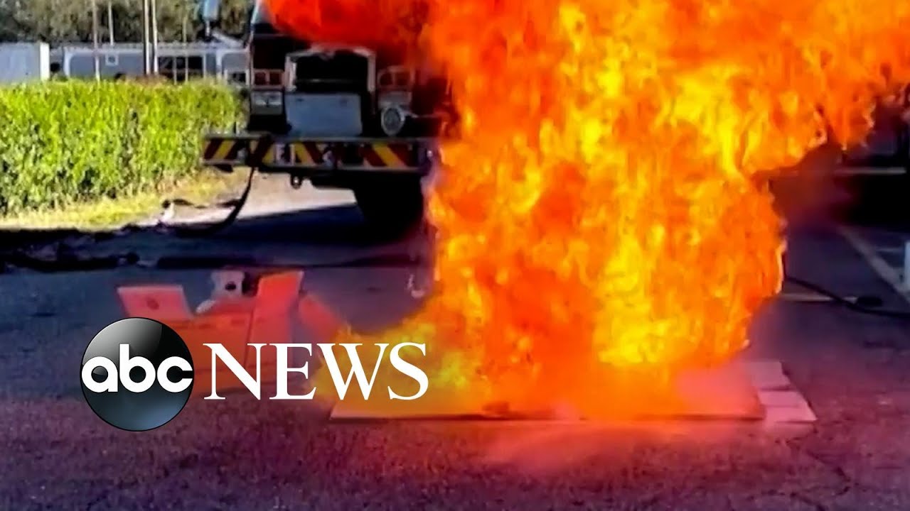 Frozen turkey bursts into flames