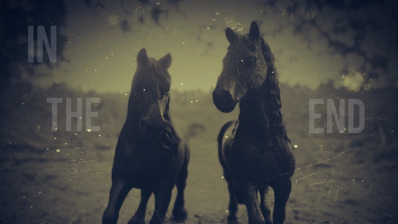 In The End ~[schleich mv] (FW)