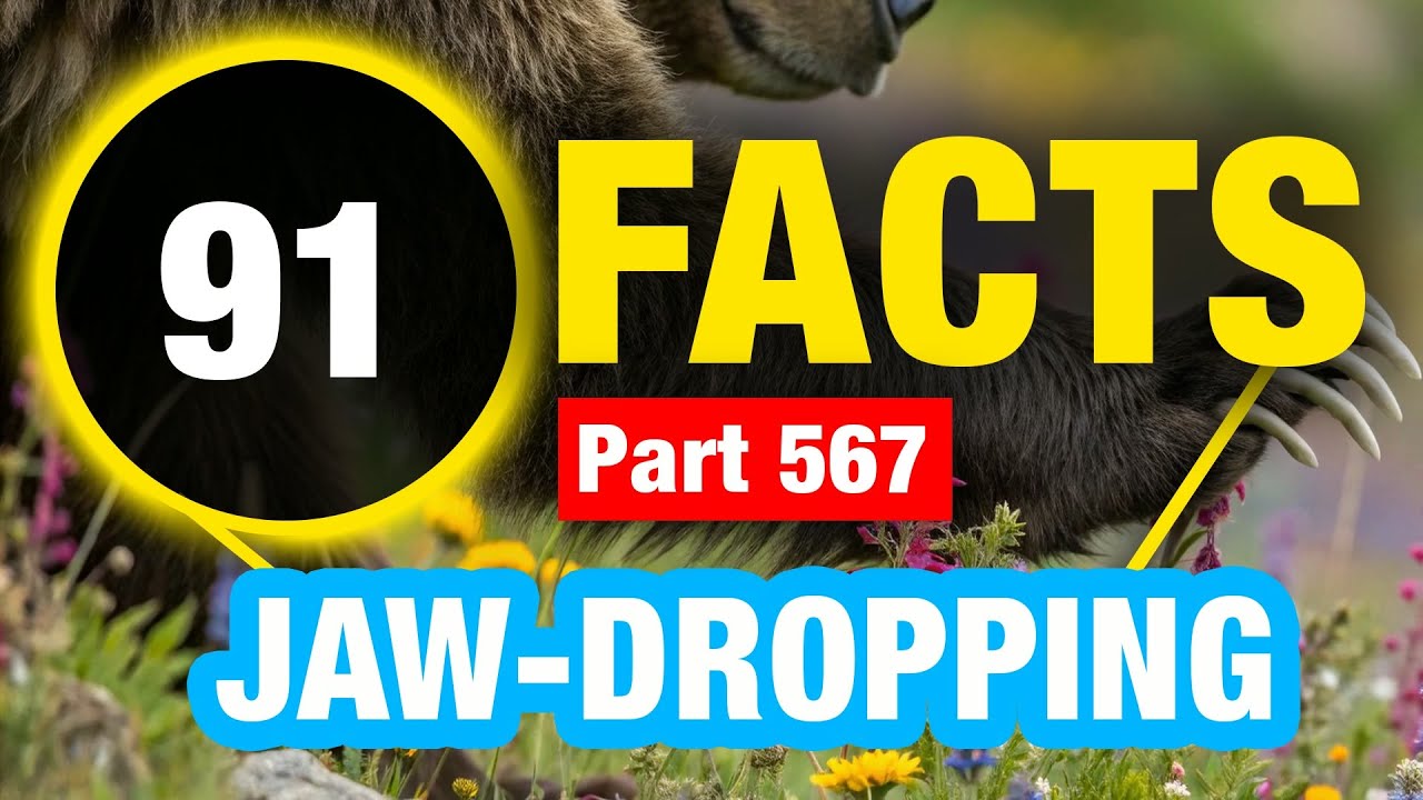 91 Random Facts | Amazing Facts You Didn&rsquo;t Know