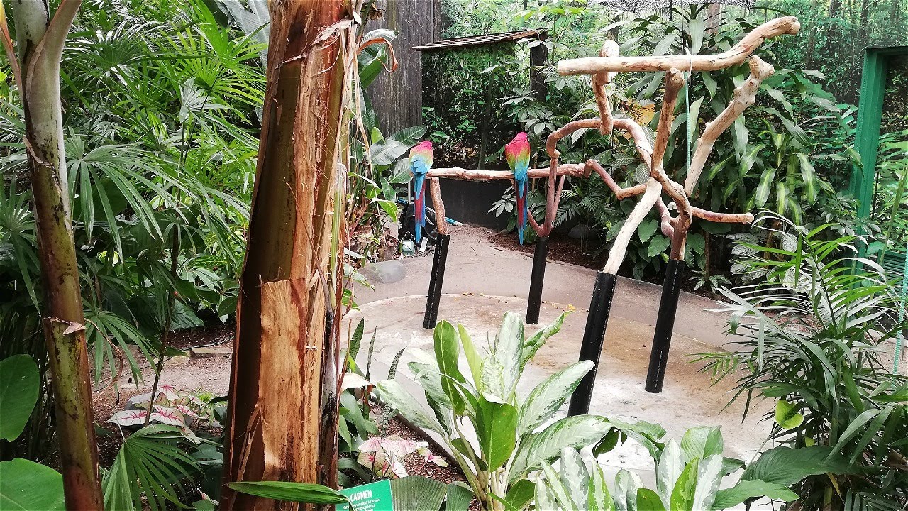 What's inside  the Bloedel Floral Conservatory & aviary  🇨🇦
