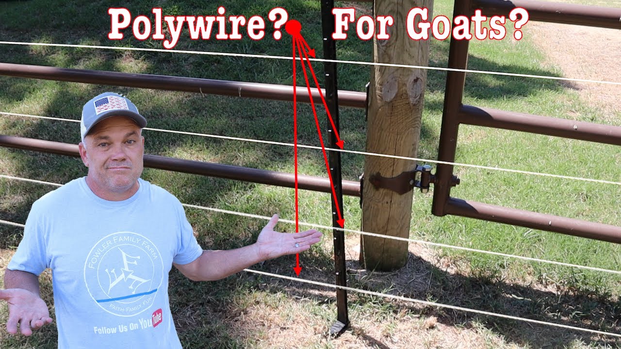 Работает ли это? Обновление PolyWire
