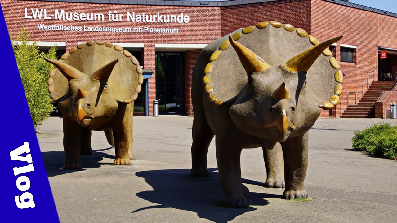 LWL Natural History Museum  (Münster) #vlog