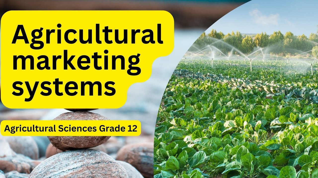 Agricultural Sciences grade 12: Agricultural Marketing Systems