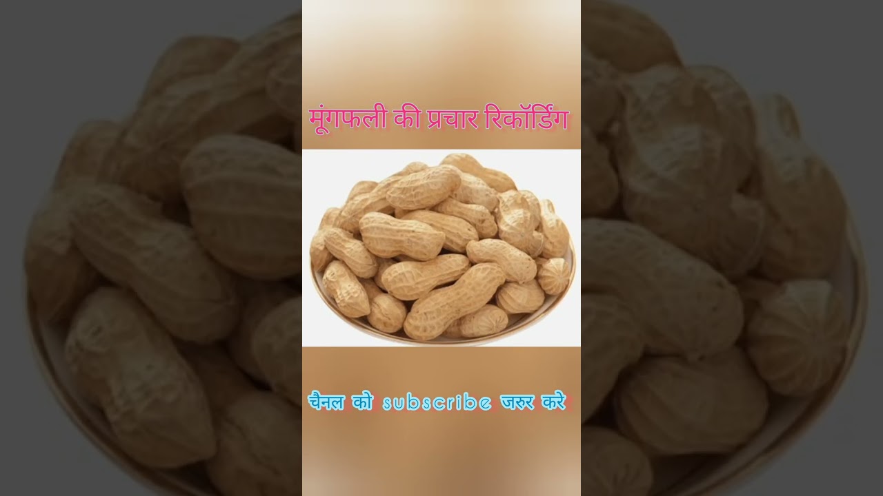 मूंगफली बेचने की धांसू प्रचार रिकॉर्डिंग mungfali bechne ki recording  ground nut sale anausment.