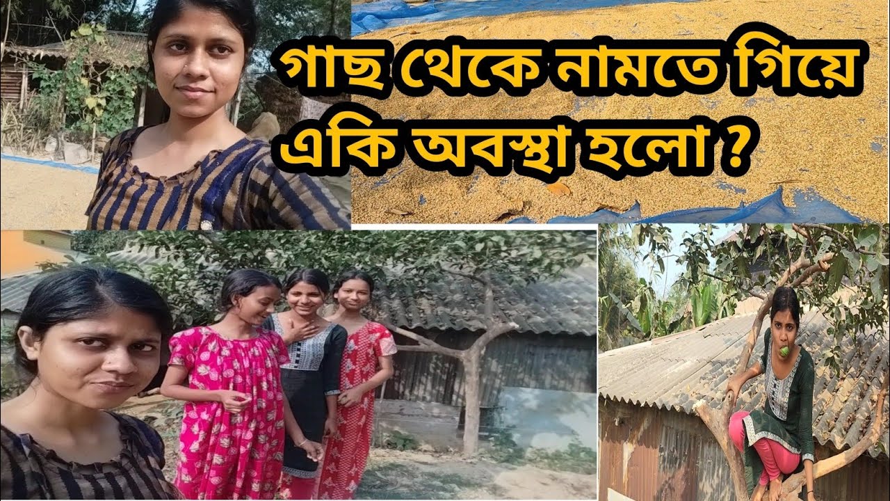 পেয়ারা পাড়তে গিয়ে যা হলো, শেষে সবাই হেসে কুটিকুটি 😂 | Village Funny Vlog