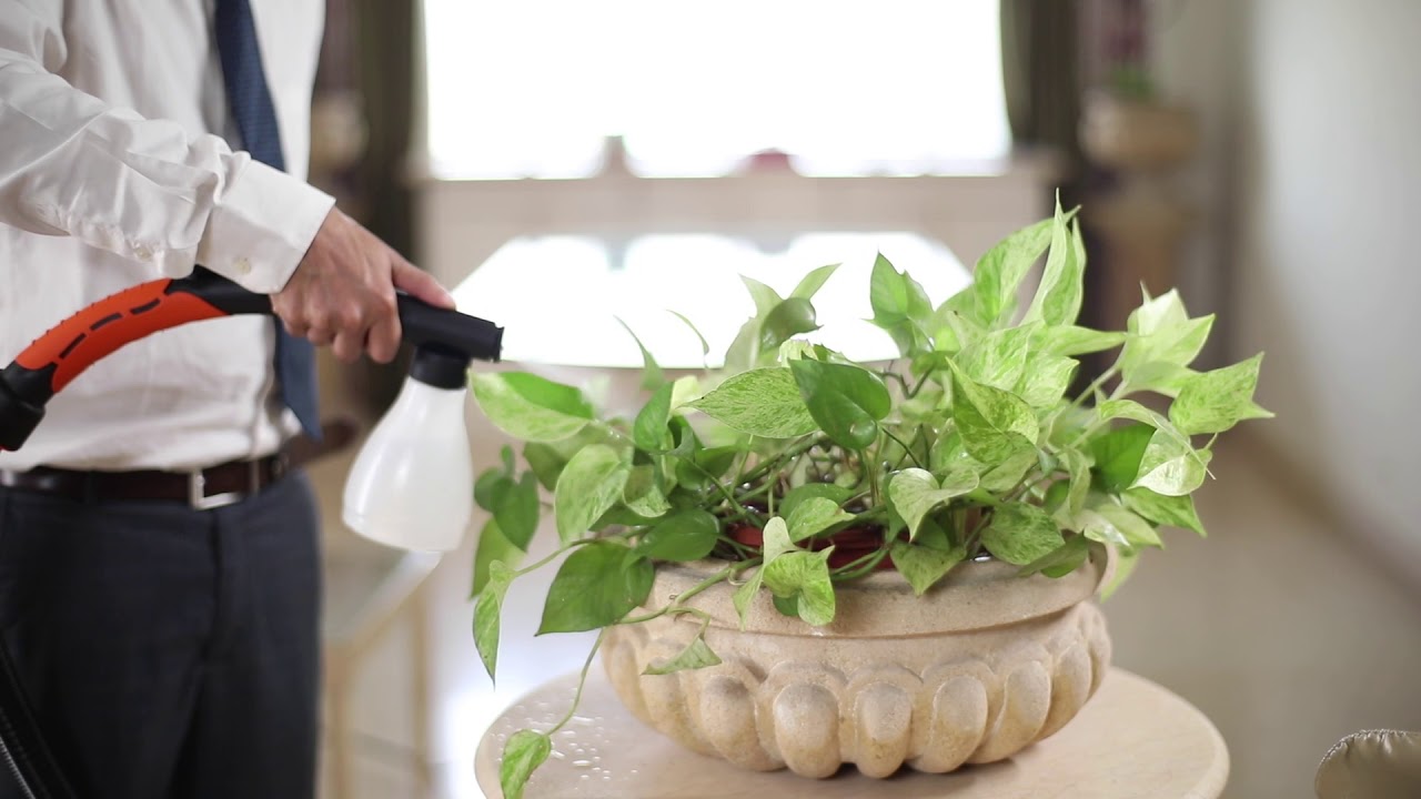 Euroclean XForce – Portable and powerful vacuum cleaner for deep cleaning