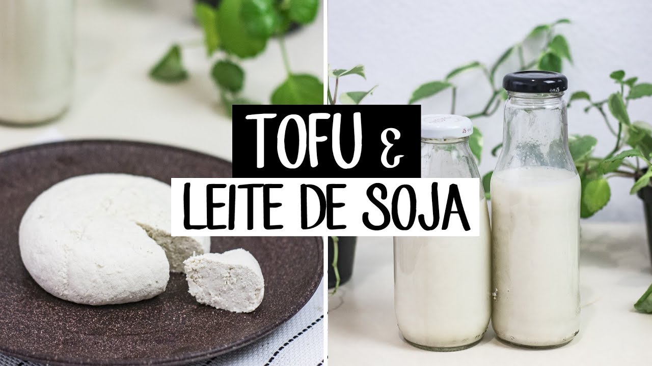 COMO FAZER TOFU E LEITE DE SOJA | MUITO F&Aacute;CIL, org&acirc;nico e por menos de R$3,00!