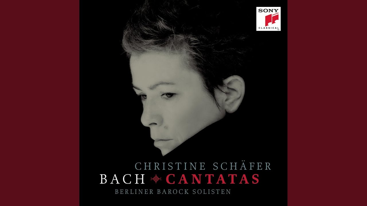Ich habe genug, BWV 82: I. Aria: Ich habe genug, ich habe den Heiland
