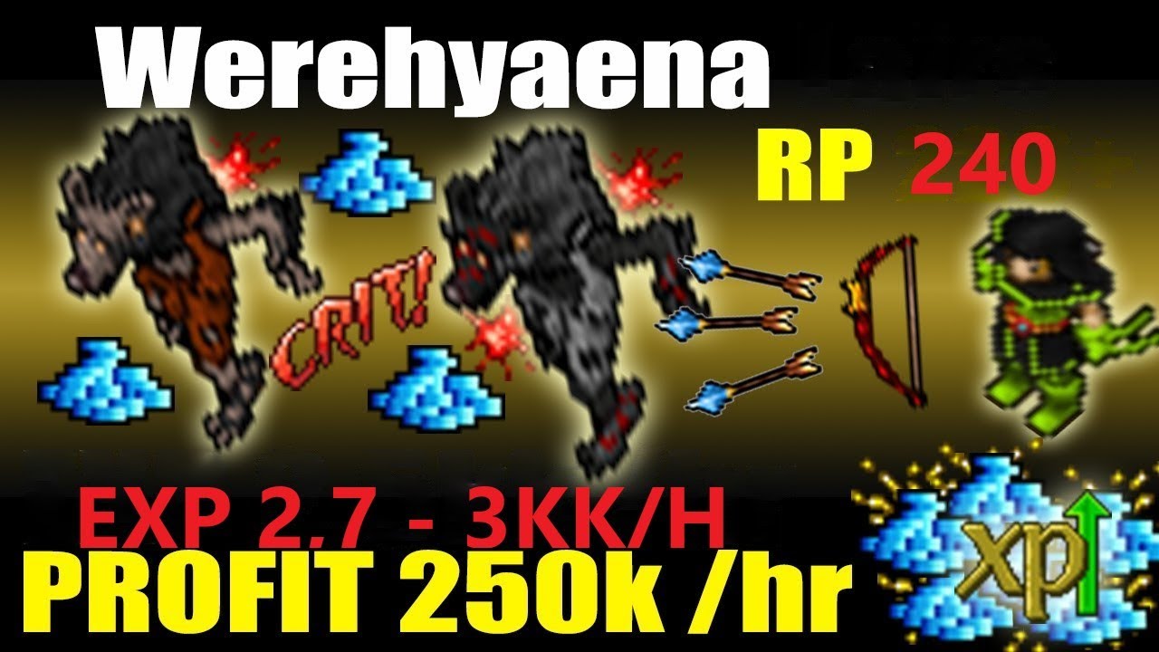 Tibia Werehyaena 240 rp 2,9kk/h exp -  PROFIT
