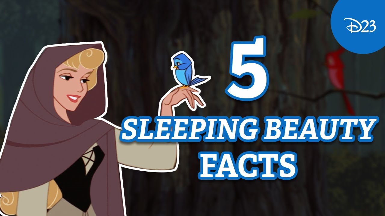 5 Dreamy Details You Need to Know about Sleeping Beauty