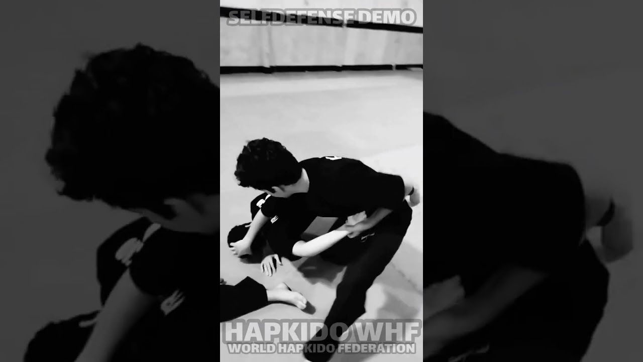 selfdefense demo hapkido whf