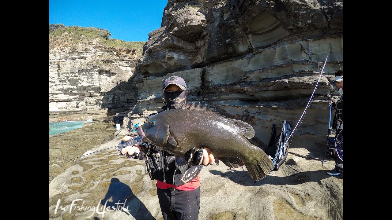 IFL TV EP 46: ISO Fishing Sydney for Drummer & Groper