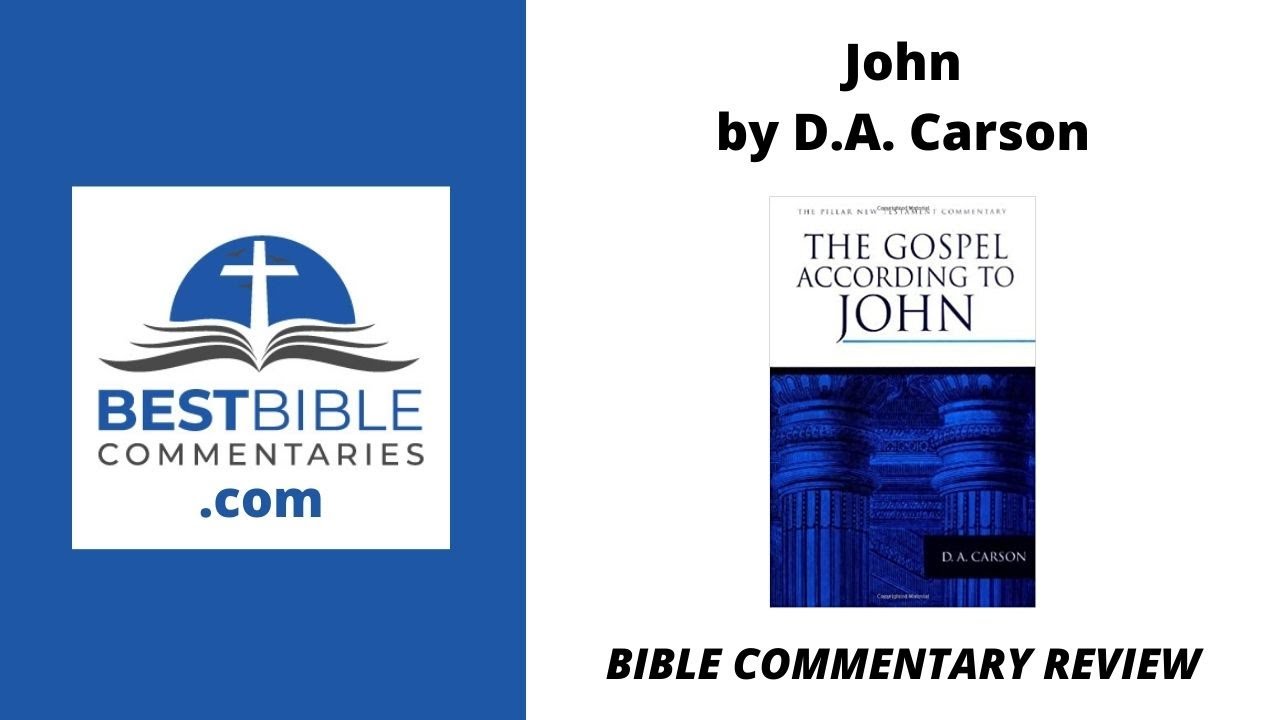 John by D.A. Carson | Bible commentary review
