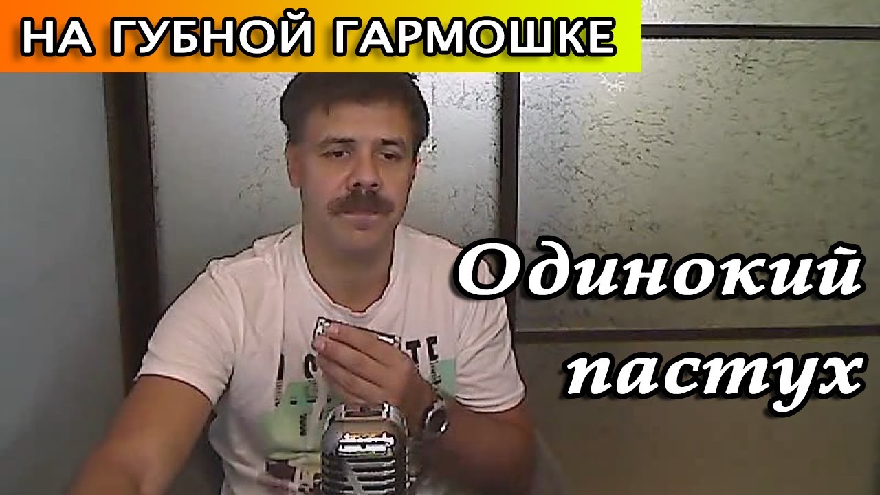 Одинокий пастух на губной гармошке