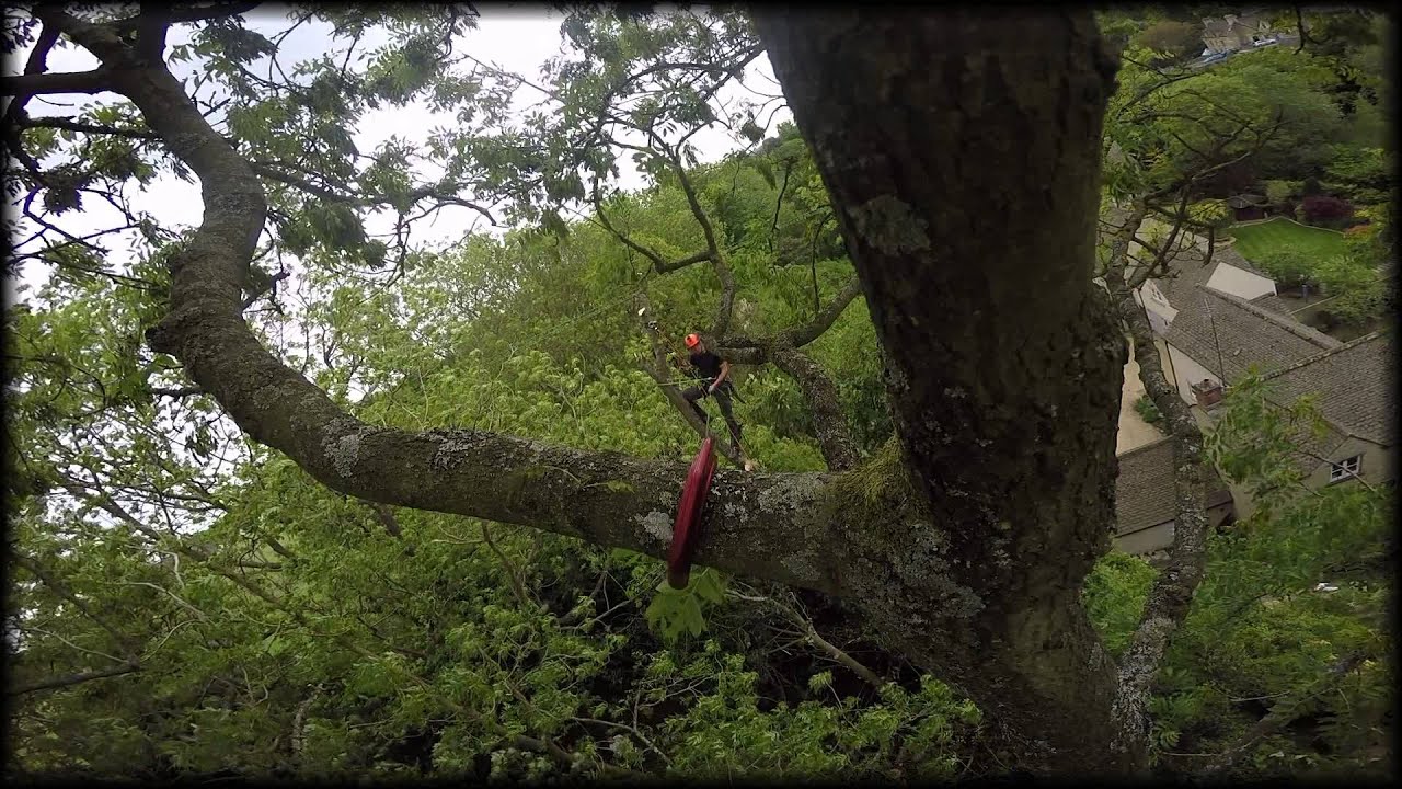 Climbing/Throwing Hook Action - DMM Captain