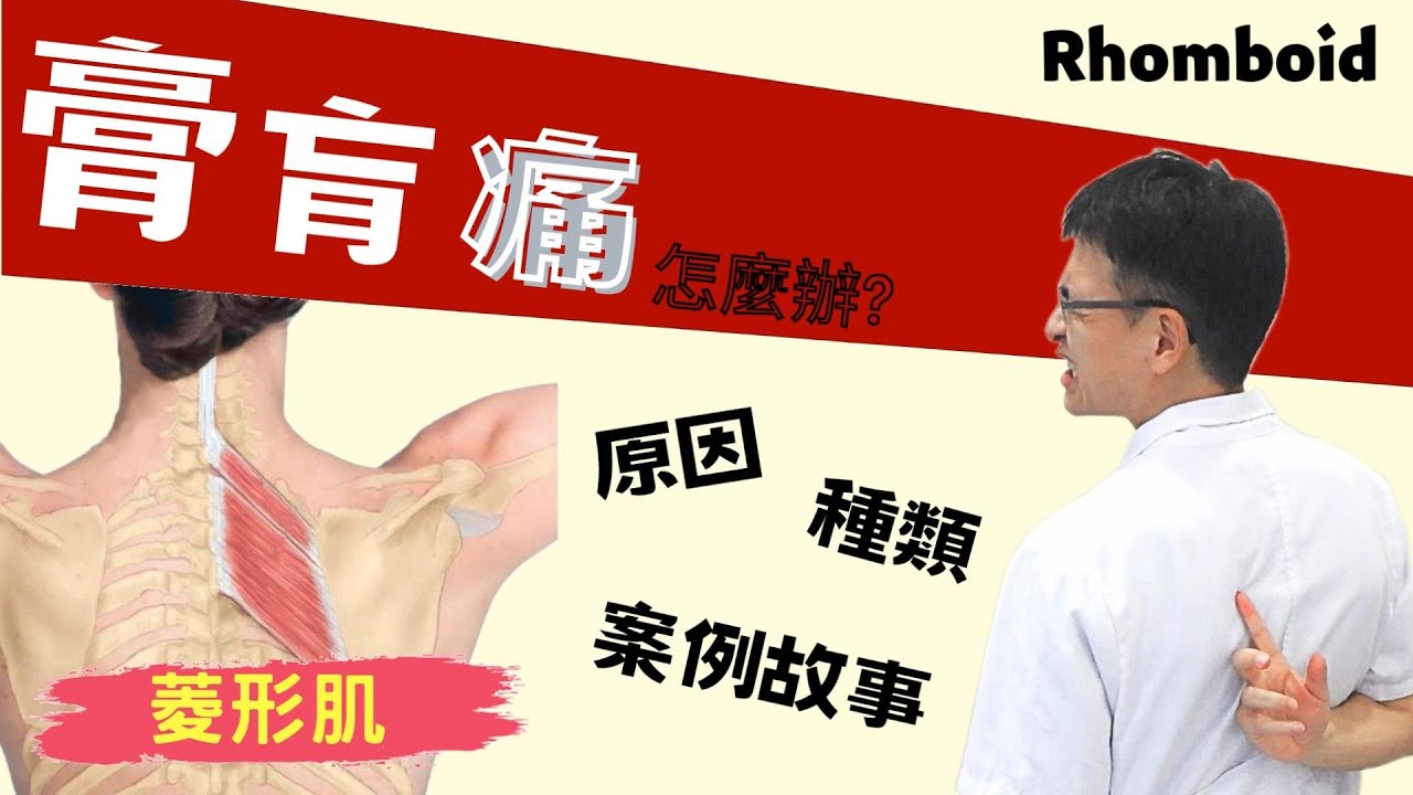 膏肓痛，一種讓人感很煩的中背痛，到底發生什麼事？讓我告訴您...| 菱形肌 | rhomboid | 菱形筋 | No.04