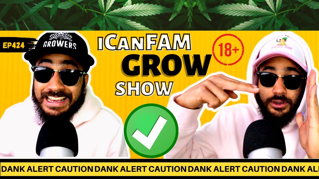 1 Tent vs Multiple Tents? & HERMIES! 🤔 #iCanFAM Sunday Morning Show | Ep 424