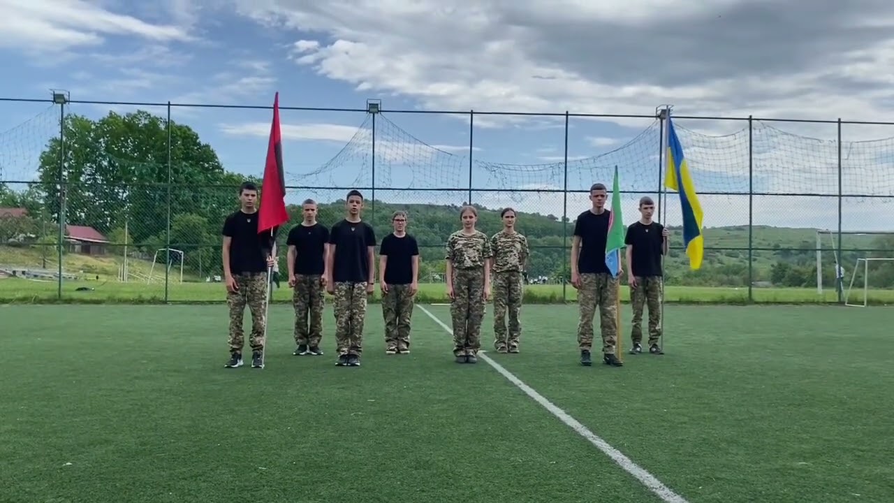 Представлення рою 