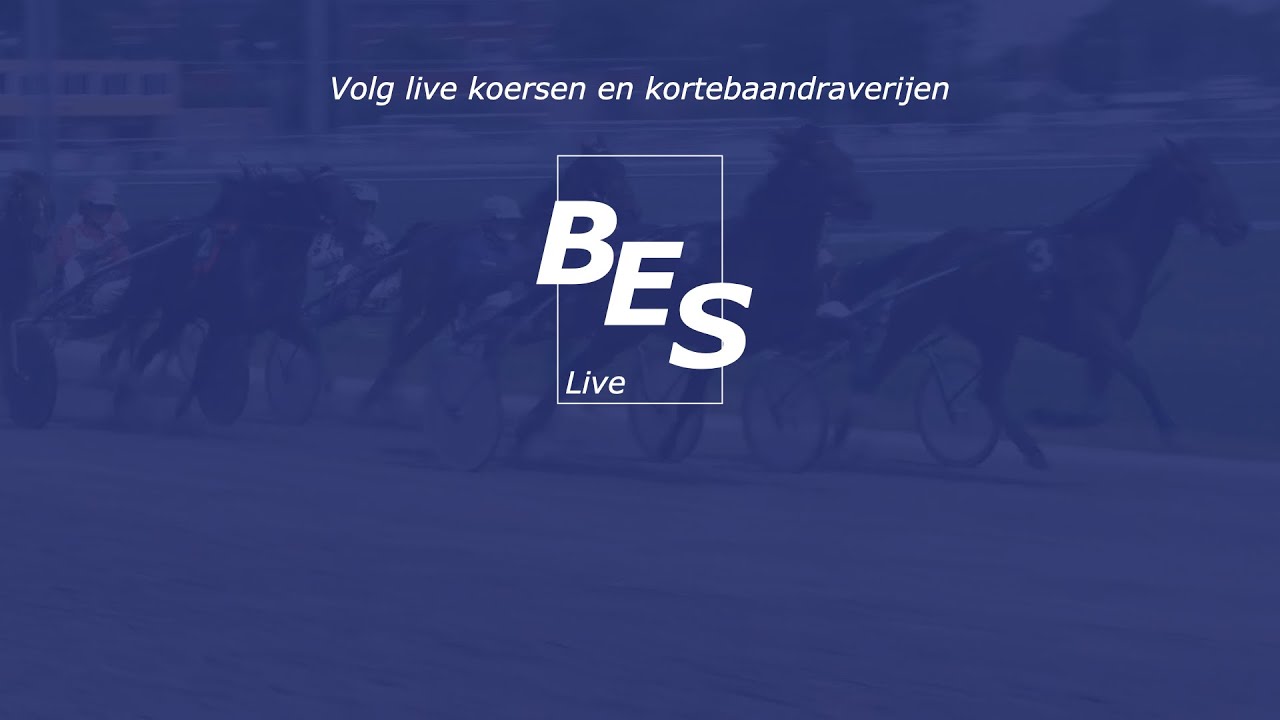 Draf en Renbaan Duindigt 21-09-2025