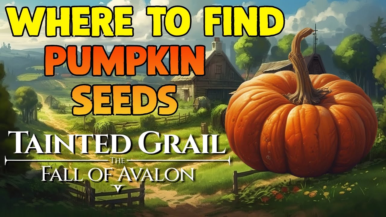 Where To Get Pumpkin Seeds? (Pumpkin Peril Quest) - Tainted Grail: The Fall of Avalon