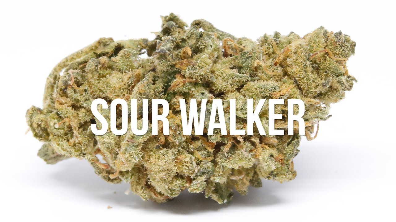 Sour Walker Strain Review