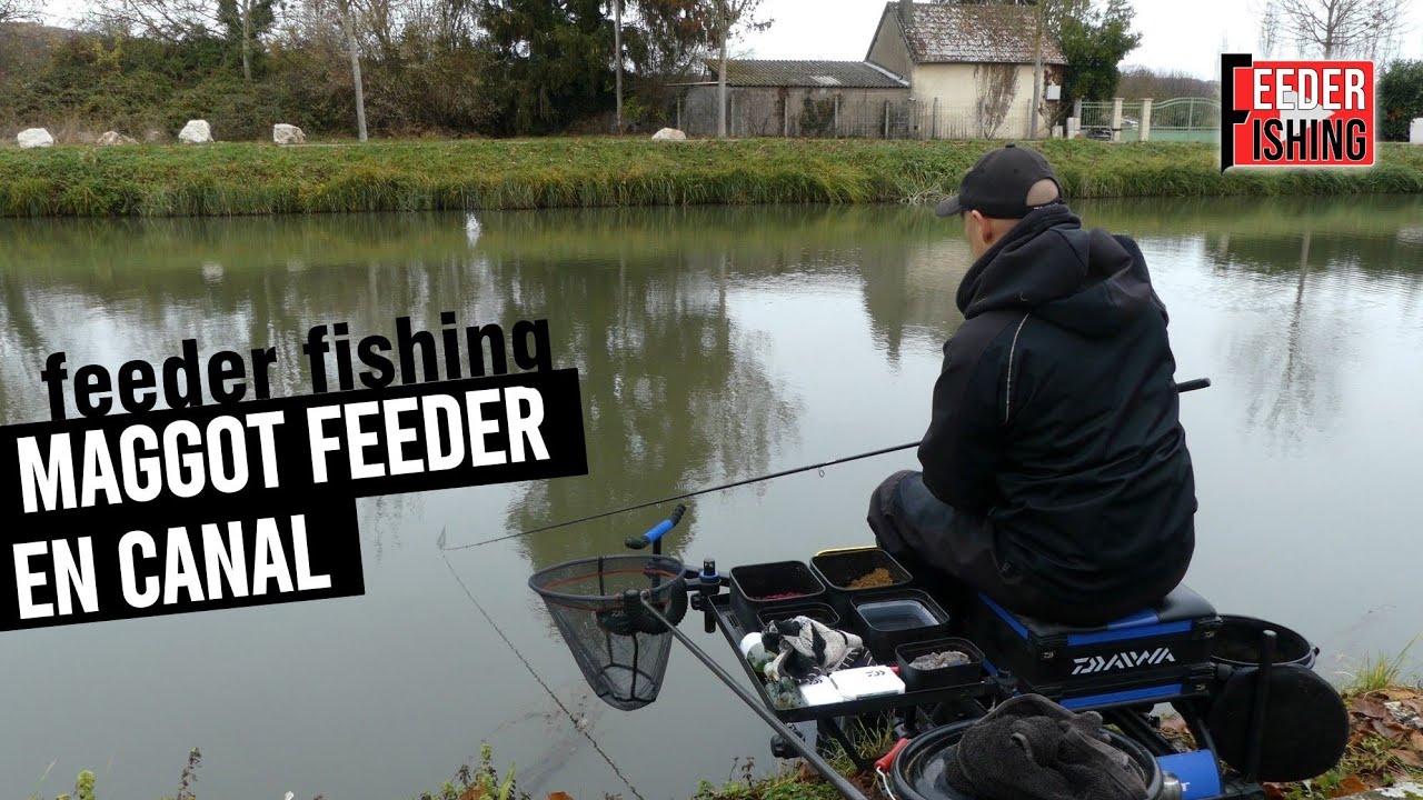 Pêcher en hiver au maggot feeder | pêche au feeder en canal