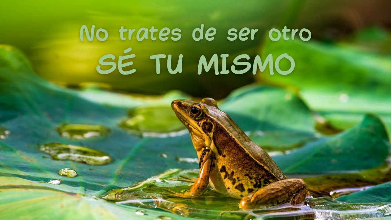 SÉ TU MISMO, eres único, amor propio 💜🐸🧡